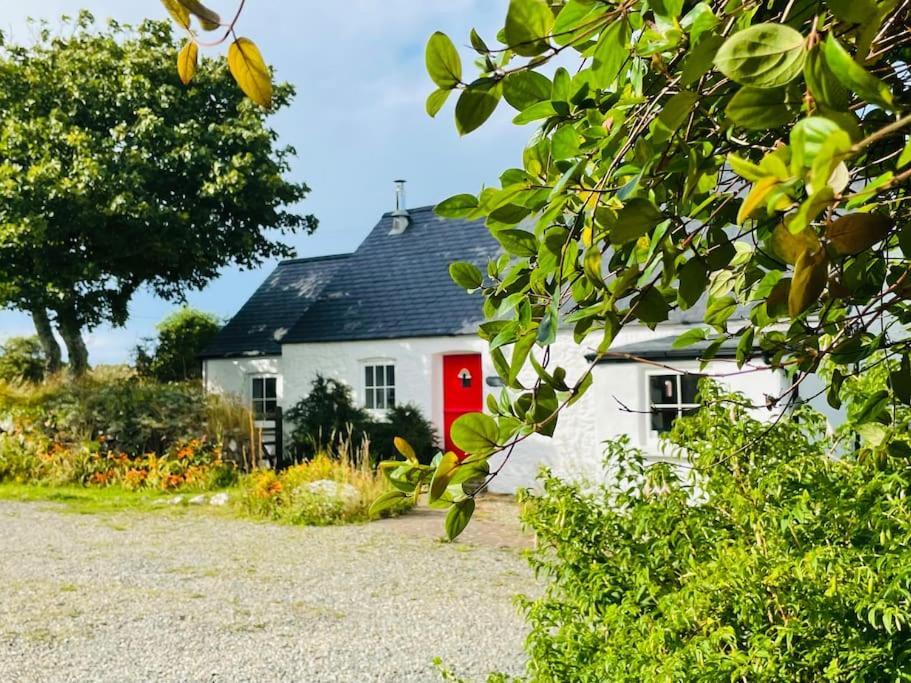 The Dairy @ Trefechan Wen Goodwick ภายนอก รูปภาพ