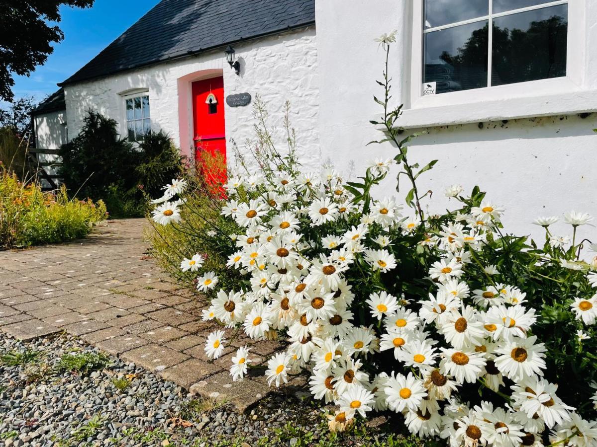 The Dairy @ Trefechan Wen Goodwick ภายนอก รูปภาพ